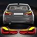 VLAND Full OLED Sequential Upgrade Tail Lights Compatible for [BMW M3 / 3 Series F30 F35 F80 Sedan 6th Gen 2012 2013 2014 2015 2016 2017 2018] with Dragon Scales Running Light, Red Lens Style