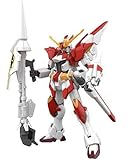 HGBF 1/144 Gundam M91(Julian MACKENZIE'S Mobile Suit)