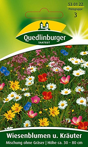 Preisvergleich Produktbild Blumenwiese - Wiesenblumen u. Kräuter Mischung ohne Gräser von Quedlinburger
