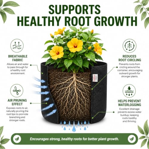 Image of Casa De Amor 400 GSM Geo Fabric Plant Grow Bag, Black 10 x 10 Inch Pack of 3, Round Fabric Pots for Terrace, Balcony, Flowers & Vegetable Gardening