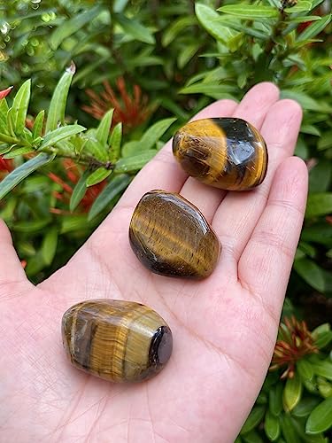 Image of 1 /2 LB Tiger Eye Tumbled Stones, Polished Natural Tiger Eye Gemstone, Tiger Eye Healing Crystals (Tiger Eye)