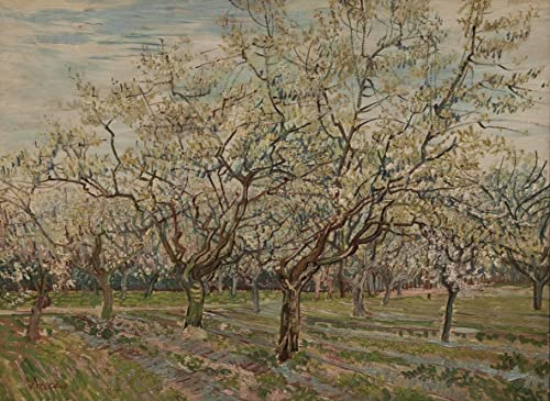 Murales en lienzo de Van Gogh, cuadro decorativo de 60x90cm para renovar oficinas