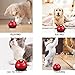 DrTail Pet Training Bell for Dogs & Cats – Potty Training Bell for Housebreaking, Obedience & Communication – Easy to Press, Durable & Loud – Indoor Puppy Training Tool (Red)