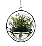 DanDiBo Blumenampel Innen Metall Wand Hängepflanzen 53 cm 96087 M mit Topf Silber Pflanzenhänger Blumenhänger Topfhänger Blumen Blumentopfhänger Hängetopf
