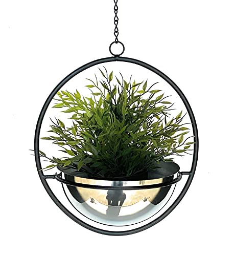 DanDiBo Blumenampel Innen Metall Wand Hängepflanzen 53 cm 96087 M mit Topf Silber Pflanzenhänger Blumenhänger Topfhänger Blumen Blumentopfhänger Hängetopf