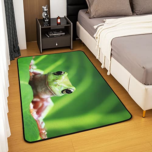 Loussiesd Frog Rugs for Living Room Bedroom Full Kawaii Decor Area Rug for Kids Tropical Amphibian Indoor Floor Mat Teens Animal Print Green Accent Rug 150 * 200cm - Image 3