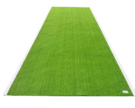 Portable Cricket Turf (6.8 feet x 10 feet) | Turf Wicket | Artificial Turf Wicket | Revturf Portable Cricket Pitch for Outdoor and Indoor (B0D17GG4BX) Amazon Price History, Amazon Price Tracker