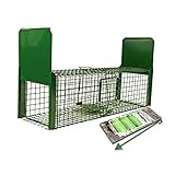Holtaz Fallen Strong Grün 120x34x34 cm 2 Türen Marderfalle Katzenfalle Fuchsfalle Biberfalle Tierfalle Kastenfalle Drahtfalle Lebendfalle Mit Extra Köder