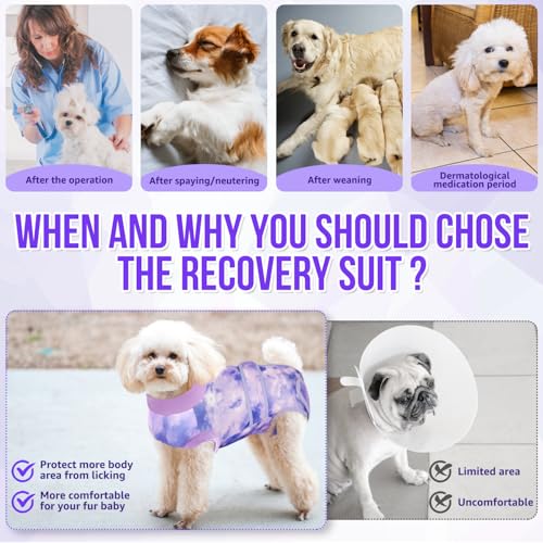 Image of SlowTon Dog Surgery Recovery Suit - Zipper On Dog Onesies After Surgery for Female Male Dogs, Abdominal Wounds Bandages Cone /E-Collar Alternative Dogs Body Suit Shirt Anti-Licking (Purple,4XL)