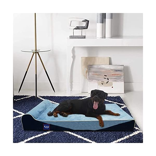 LaiFug Orthopädisches Hundebett aus Memory-Schaum, extra groß – Bild 7
