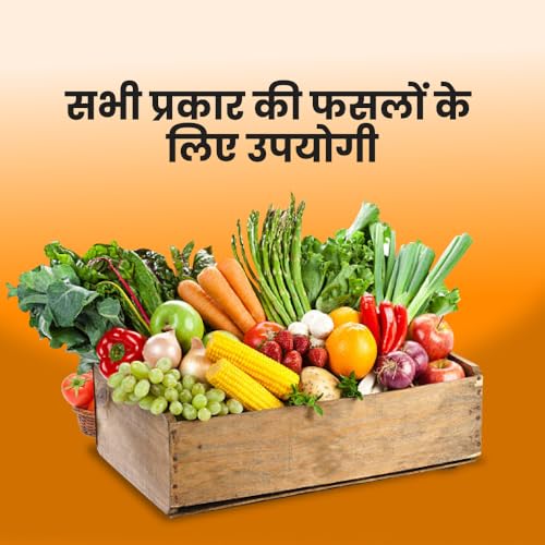 Image of IFC NPK Bacteria - NPK Solubilizing Bacteria Fertilizer 500gms | Increase Soil Nutrients |100% Organic, Perfect to use on All Plants and Gardening