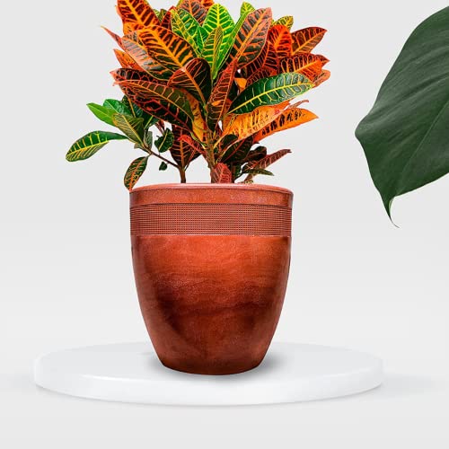 Elly Décor 20 Inch Dotted Plastic Round Planter Pot, Durable And Strong Plastic Material, Textured, Weather Resistant, 18"X 20"In,Terracotta #TOP5