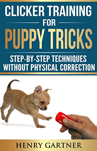 clicker training steps