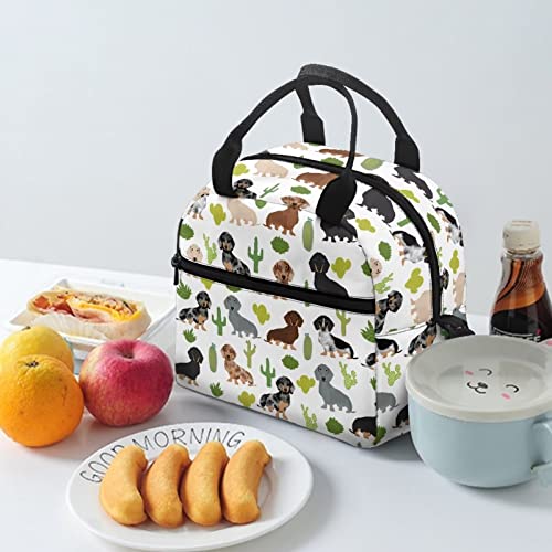 Babrukda Lunch Box Insulated Lunch Bag Waterproof With Adjustable Shoulder Strap Reusable Cross Body Tote For Kids Teens Dachshund Print #TOP2