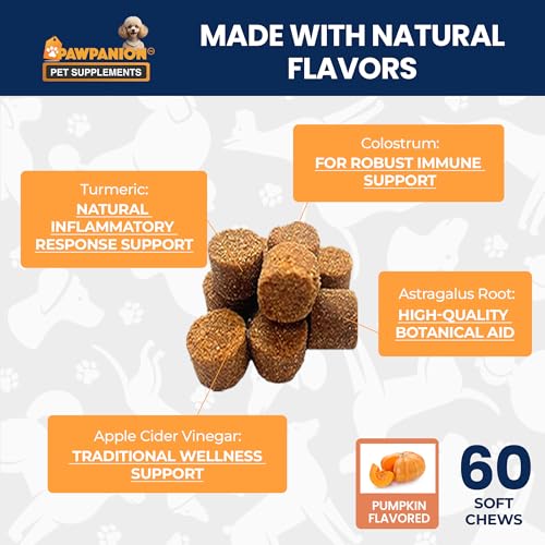 Image of Dog Probiotic Soft Chews, 6 Billion CFU, 60 Count | Probiotic strains and digestive enzymes support gut balance, digestion, nutrient absorption and normal stool quality.