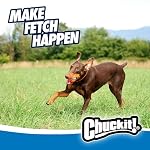 Chuckit! Ultra Ball Dog Toy - Size Large - For Dogs 60-100 lbs - Made from Durable Rubber - Super Bouncy - Floats in Water - 3-inch Diameter - Pack of 1 - Image 6