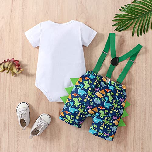 Baby Boys 1st Birthday Outfit Cake Smash Bow Tie Romper Dinosaurs Bodysuit Bloomers Y Back Suspenders Pants Set 6