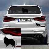 Decus Shop Spitz Dog 3099 // naklejka różne rozmiary kolor