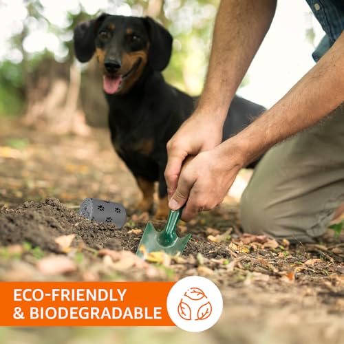 Image of Amazon Basics Pet Poop Bags with Fun Paw Print Design | Strong, Leak-Proof | Easy to Use | Unscented | Grey | 300 Count (30 Bags x 10 Rolls)