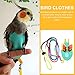 Ipetboom 1set Reusable Parrot Diaper Flight Suit Leash Comfortable and Lightweight Bird Clothing for Birds Like Cockatiels and Parrots Chic Design