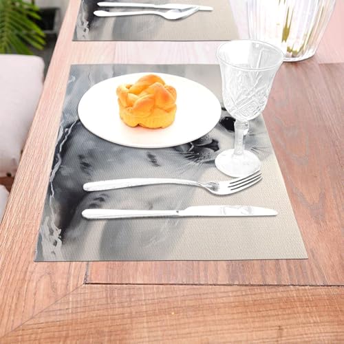 Sets de table tissés design phoque de harpe élégance et qualité PVC