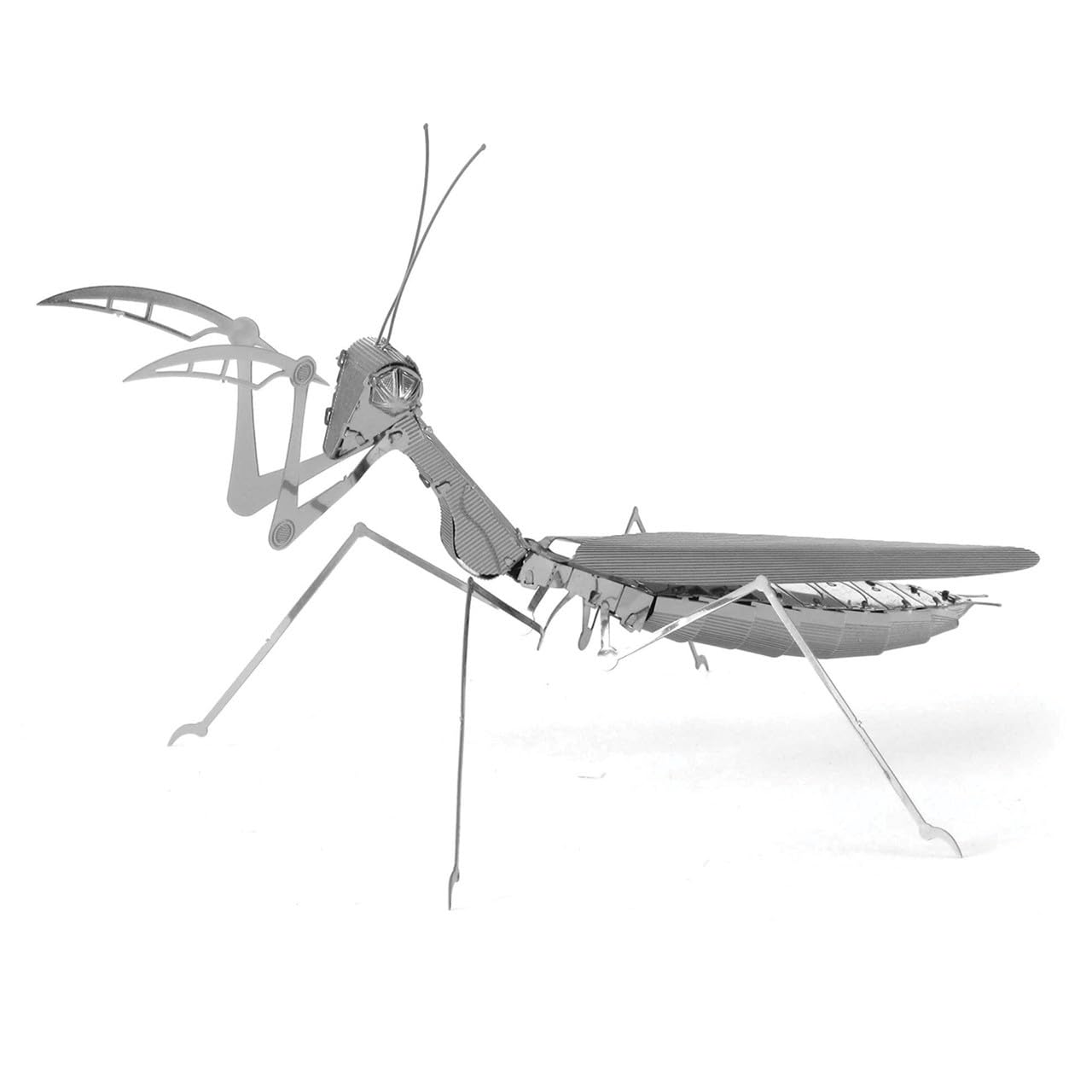 Professor PUZZLE Fascinations Metal Earth Praying Mantis 3D Metal Model Kit