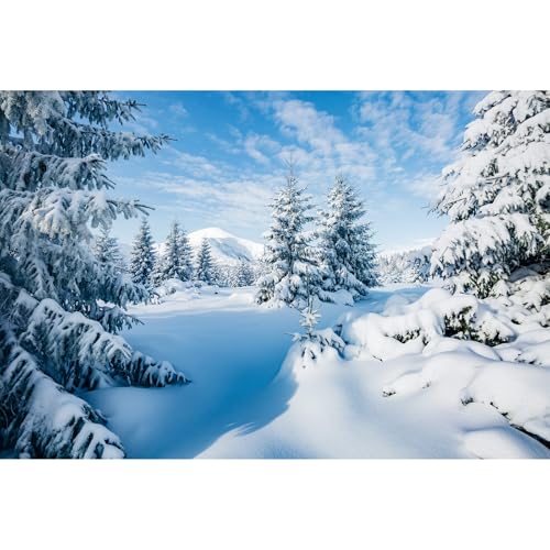 Winter Snow Forest Backdrop Majestic Spruces Sunlight Photography Background Xmas Trees Wintry Scene Alps Ski Resort Backdrop Christmas New Year Party Background Winter Wonderland Props 7x5ft
