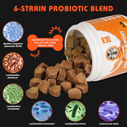 Daily Probiotics for Dogs - 120 Beef Flavored Soft Chews with Natural Pumpkin Powder for Healthy Gut & Sensitive Tummy. Reduces Scooting, Loose Stools, Smelly, Itchy Ears for Small, Medium, Large Dogs - Image 5