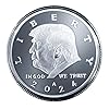 Aizics Mint Donald Trump Silver Coin 2024 with Certificate of Authenticity, President Coin, Trump Coin Collectors, Silver Plated, 38mm x 2mm #1