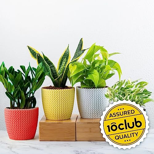 Kraft Seeds Unicon Pots for Home Garden (4 Pcs, Multicolor) | Outdoor Gardens and Home Plant Pots | Durable Plastic Planters for Balcony and Terrace | Plastic Flower Pots for Indoors and Home Plants