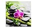 Produktbild kunst-discounter Orchidee Bambus Wandbild A06150 Canvas Leinwandbild quadratisch auf Keilrahmen Größe 20 x 20 cm