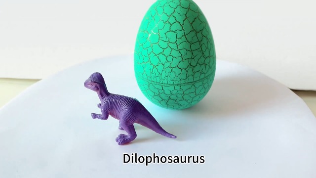 Amazon.com: 12 Dinosaur Eggs Toys, Surprise Pack with 12