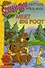 Meet Big Foot (Scooby-Doo! Picture Clue Book, No. 12)