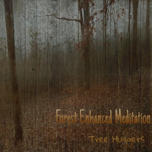 Forest Enhanced Meditation The Tree Huggers Digital Music