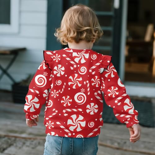 Girls Cute Hoodies Sweatshirts Long Sleeve Sweaters Pullover Fall Winter Clothes Kids Lightweight Top3