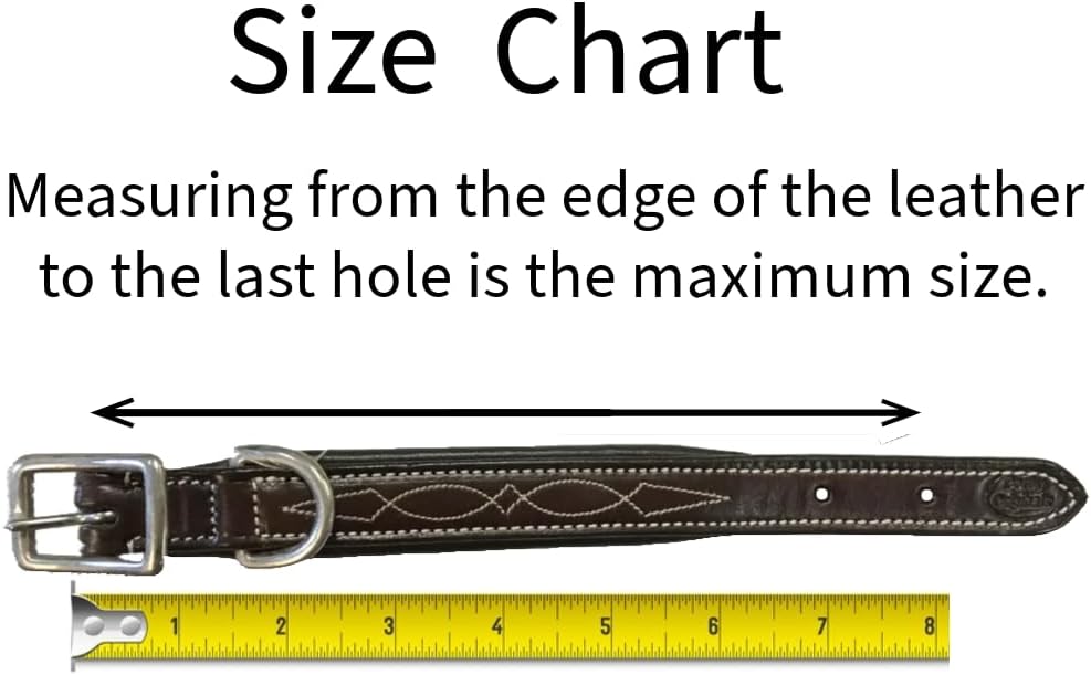 Derby Originals Dog Designer Series Tooled USA Leather Padded Barbwire Dog Collar with Stainless Steel Rolled Buckle for Comfort