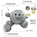 Celestial Buddies Earth Moon Sun Plush Bundle – Soft Educational Solar System Toys for Toddlers Preschool Kids – Space Science STEM Learning, Educational Gift, Astronomy Classroom & Homeschool 0+