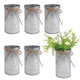 6' High Vase Centerpiece for Table, Rustic Farmhouse Mason Jars with Twine Bow, Vintage Galvanized Metal Flower Container for Wedding Home Decor (Silver, 6Pcs)