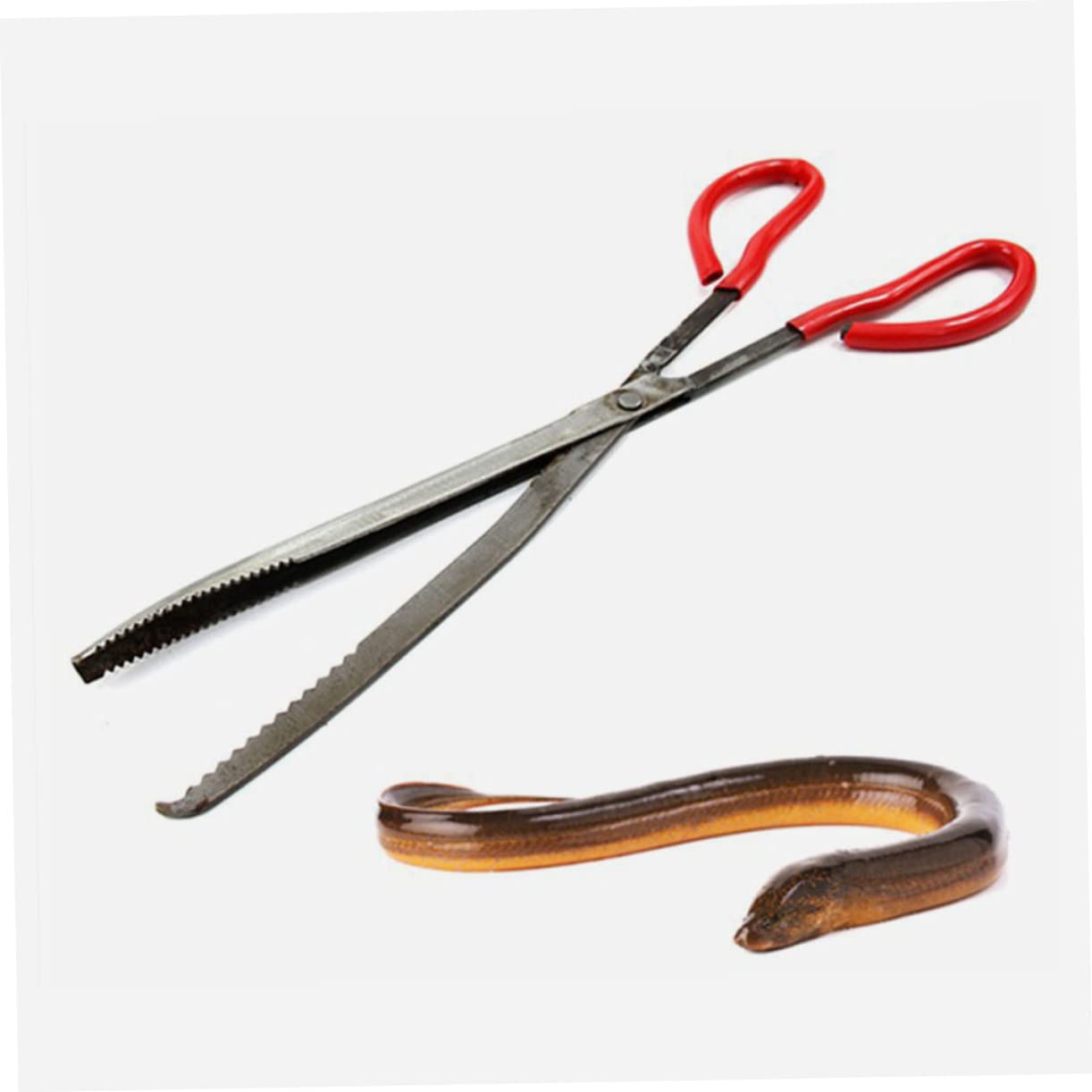 VANZACK Clip Di Pesce Di Mare Clip Di Granchio Strumenti All'Aperto Strumenti Per Grigliare Pinze Strumento Pinza Per Pinze Per Immondizia Pinze Per Pinza In Metallo Pinza