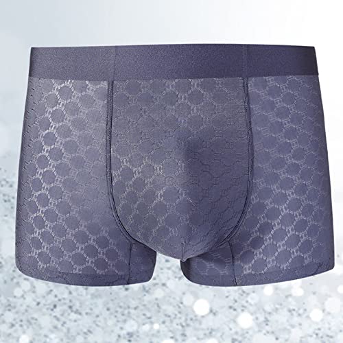 Men Ice Silk Mesh Boxer Briefs Breathable Underwear Cool Ultra-thin Stretch Boxers4