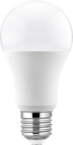 GTV Ampoule LED E27 G-tech A60, 15W (Équivalent 100W), 1500 lm, 6400K Lumière du
