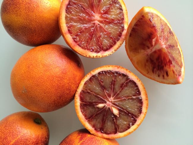 NARANJA SANGUINA ORIGEN VALENCIA. RECIEN RECOLECTADAS (15 KG)