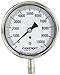 Ashcroft Duralife Type 1009 Stainless Steel Case Dry Filled Pressure Gauge, Stainless Steel Tube and Socket, 3.5" Dial Size, 1/4" NPT Lower Connection, 0/10000 psi Pressure Range