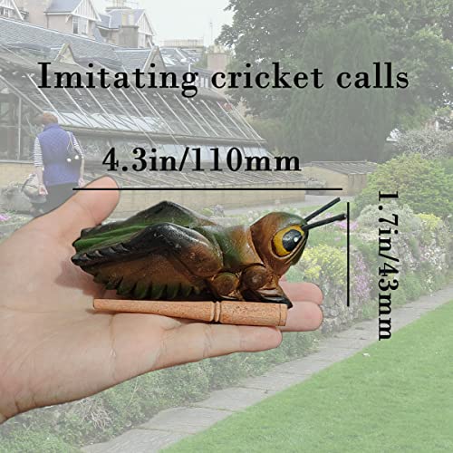 Wooden Percussion Instruments Set Of 3,Guiro Rasp Natural Wood Frog,Musical Instrument 4 Inch Wooden Cricket,4 Inch Wood Pig #TOP3