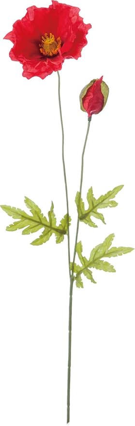 Amazon ポピー Popy 造花 ポピー レッド 全長58cm 花径3 5 7cm Ff 2907r 造花 オンライン通販 Amazon ポピー Popy 造花 ポピー レッド 全長58cm 花径3 5 7cm Ff 2907r 造花 オンライン通販