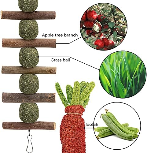 16 PCS Rabbit Toys Bunny Chew Toys for Teeth, Rabbit Hamster Chew Toys for Dental Health 100% Natural Apple Wood Grass Ball String Loofah Carrot Toys for Chinchillas, Guinea Pigs, Hamsters