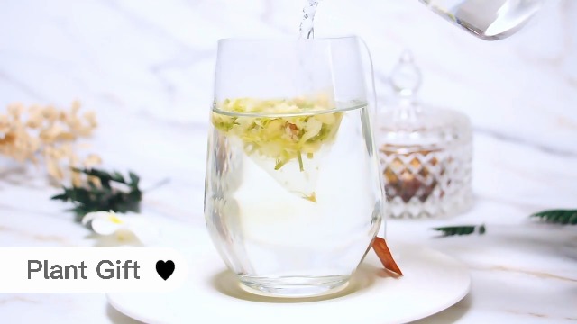 Amazon.com : Plant Gift Jasmine Tea Bags 1.76oz (2g*25bags