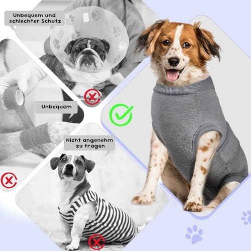Eyein Hundebody Nach Op, Atmungsaktiver Verstellbarer Einteiler für weibliche und männliche Hunde, Anti-Lecken und Wundschutz, Alternative zu E-Kragen und Trichter nach Operationen, Grau, M