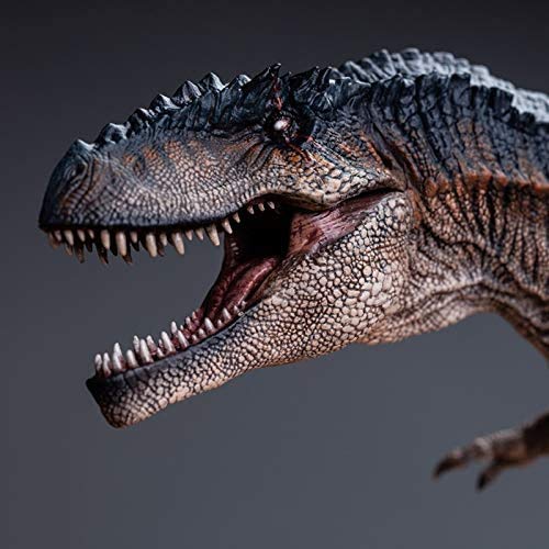 W Dragon T-REX & ギガノトサウルス Amazon.co.jp: WZX ドラゴン ギガノトサウルス ティラノサウルス