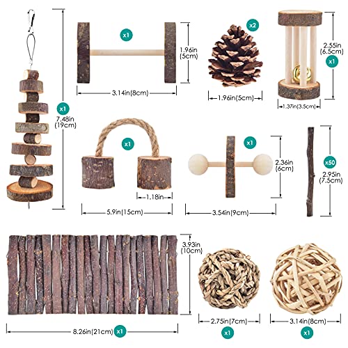 Erkoon 11 Pack Chinchillas Chew Toys, Toys Accessories For Teeth Care, Natural Apple Wood Ladder Bell Roller For Russian Hamster Gerbils Rats Guinea Pigs #TOP1